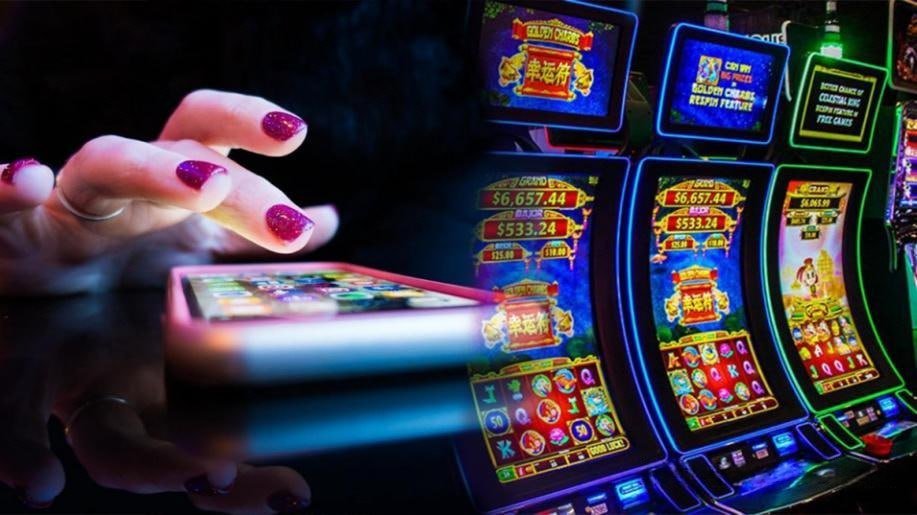 Adult Bangladesh user reading Dragon Hatch on bd betting responsibly