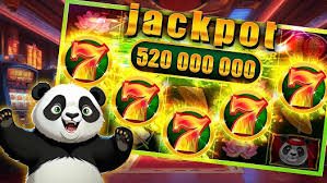 Adult Bangladesh user reading bd betting esports guide with caution